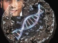 ADN uman găsit într-un meteorit vechi de 2 miliarde de ani!? Parcă oamenii au apărut doar în urmă cu 3 milioane de ani... ADN uman găsit într-un meteorit vechi de 2 miliarde de ani!? Parcă oamenii au apărut doar în urmă cu 3 milioane de ani...