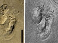 Misterioasele urme de pași de la Trachilos (Creta / Grecia)