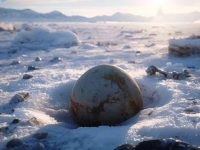 O carapace gigantică de ou a fost descoperită în Antarctica. Misteriosul ou ar putea avea 66 de milioane de ani vechime... Cui aparţinea?