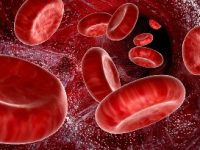 Realizare incredibilă: japonezii au dezvoltat un "sânge artificial", care poate îndeplini toate funcțiile majore ale sângelui uman