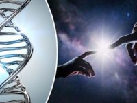 Cerem comunităţii ştiinţifice să se lase de "speculaţii ştiinţifice" şi să recunoască faptul că ADN-ul din care suntem formaţi necesită un "scriitor de cod", adică o "Super Inteligenţă", neputând apărea aleatoriu Cerem comunităţii ştiinţifice să se lase de "speculaţii ştiinţifice" şi să recunoască faptul că ADN-ul din care suntem formaţi necesită un "scriitor de cod", adică o "Super Inteligenţă", neputând apărea aleatoriu