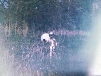 Fotografia din 1967, făcută de un copil de 14 ani, arată un extraterestru!? Fotografia din 1967, făcută de un copil de 14 ani, arată un extraterestru!?