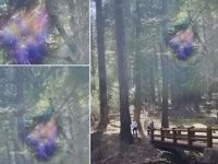 Un portal misterios a apărut în Parcul Național Yosemite din SUA? Un portal misterios a apărut în Parcul Național Yosemite din SUA?