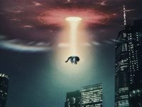 Un specialist de la Harvard - Dr. John Mack - a studiat 76 de răpiri extraterestre şi a găsit ceva care se potriveşte cu Apocalipsa lui Ioan Un specialist de la Harvard - Dr. John Mack - a studiat 76 de răpiri extraterestre şi a găsit ceva care se potriveşte cu Apocalipsa lui Ioan