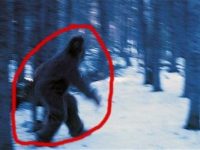 Yeti - gigantica creatură umanoidă misterioasă - chiar există? În zona Munţilor Himalaya s-au descoperit urme de talpă umanoidă de 49 de cm lungime...