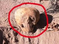 Craniu misterios găsit în Argentina: parcă ar fi de origine "extraterestră", iar forma sa seamănă cu cel din filmul SF "Mars Attacks!" (1996)