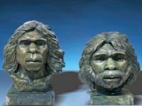 Incredibilele cranii umanoide din China au 1,77 de milioane de ani vechime