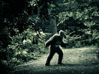 Creaturi gigante de peste 3 metri, de origine necunoscută, au fost observate la începutul lunii martie 2026 în mai multe păduri din Ohio (SUA) Creaturi gigante de peste 3 metri, de origine necunoscută, au fost observate la începutul lunii martie 2026 în mai multe păduri din Ohio (SUA)