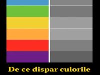 De ce dispar culorile din această lume în zilele noastre? O teorie uluitoare...