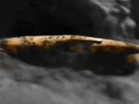 Misiunile spaţiale secrete ruso-americane Apollo 19 şi Apollo 20 au urmărit investigarea epavei unei nave extraterestre enorme (4 km lungime), aflată pe Lună?