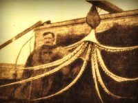 Un scafandru din Australia s-a luptat timp de 50 de minute cu două caracatiţe gigant. Cum s-a terminat totul?