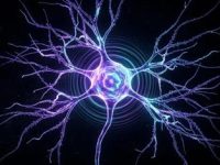 Cercetătorii nu pot explica de ce fizica cuantică continuă să apară în creierul uman Cercetătorii nu pot explica de ce fizica cuantică continuă să apară în creierul uman