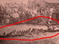 Era iulie 1934, într-un orăşel din China: locuitorii au observat cum un dragon cu coarne tocmai căzuse din cer!