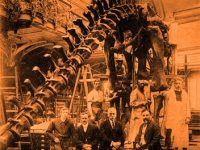 Dacă dinozaurii n-au existat niciodată, iar ei au fost creaţi pentru a acoperi existenţa reală a dragonilor?